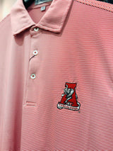 Christopher Mobley GAMEDAY - UNIVERSITY OF ALABAMA - TUSCALOOSA VAULT A - POLOS CM VAULT POLO JUBILEE STRIPE