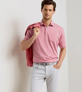 PETER MILLAR SHIRTS - POLO Dunnes Performance Jersey Polo