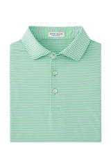 PETER MILLAR Unclassified PRTRT / M HALES PERFORMANCE STRIPE POLO