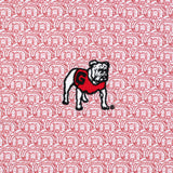 RHOBACK Unclassified THE GEORGIA SANFORD STADIUM 2.0
