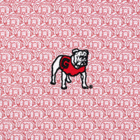 RHOBACK Unclassified THE GEORGIA SANFORD STADIUM 2.0