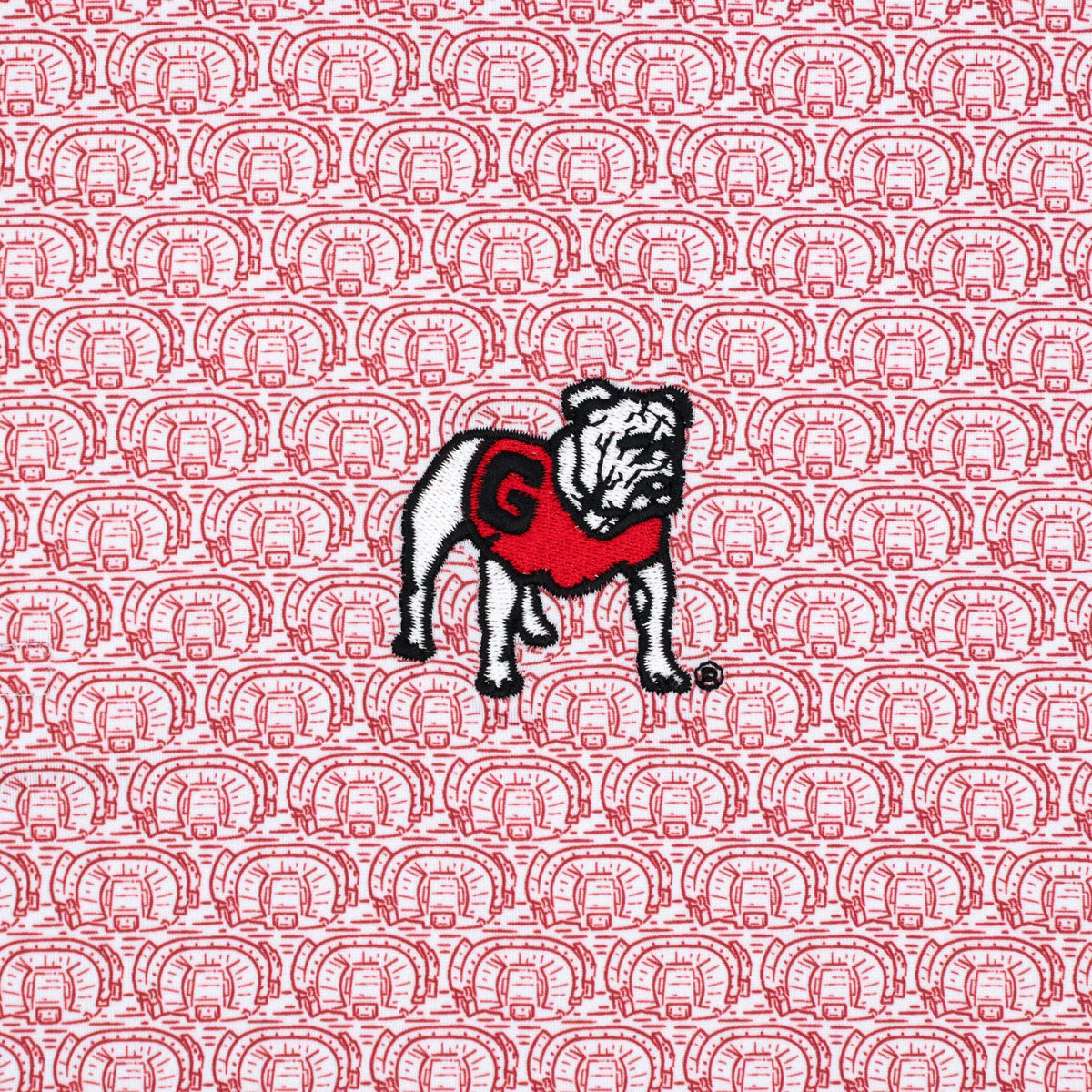 RHOBACK Unclassified THE GEORGIA SANFORD STADIUM 2.0